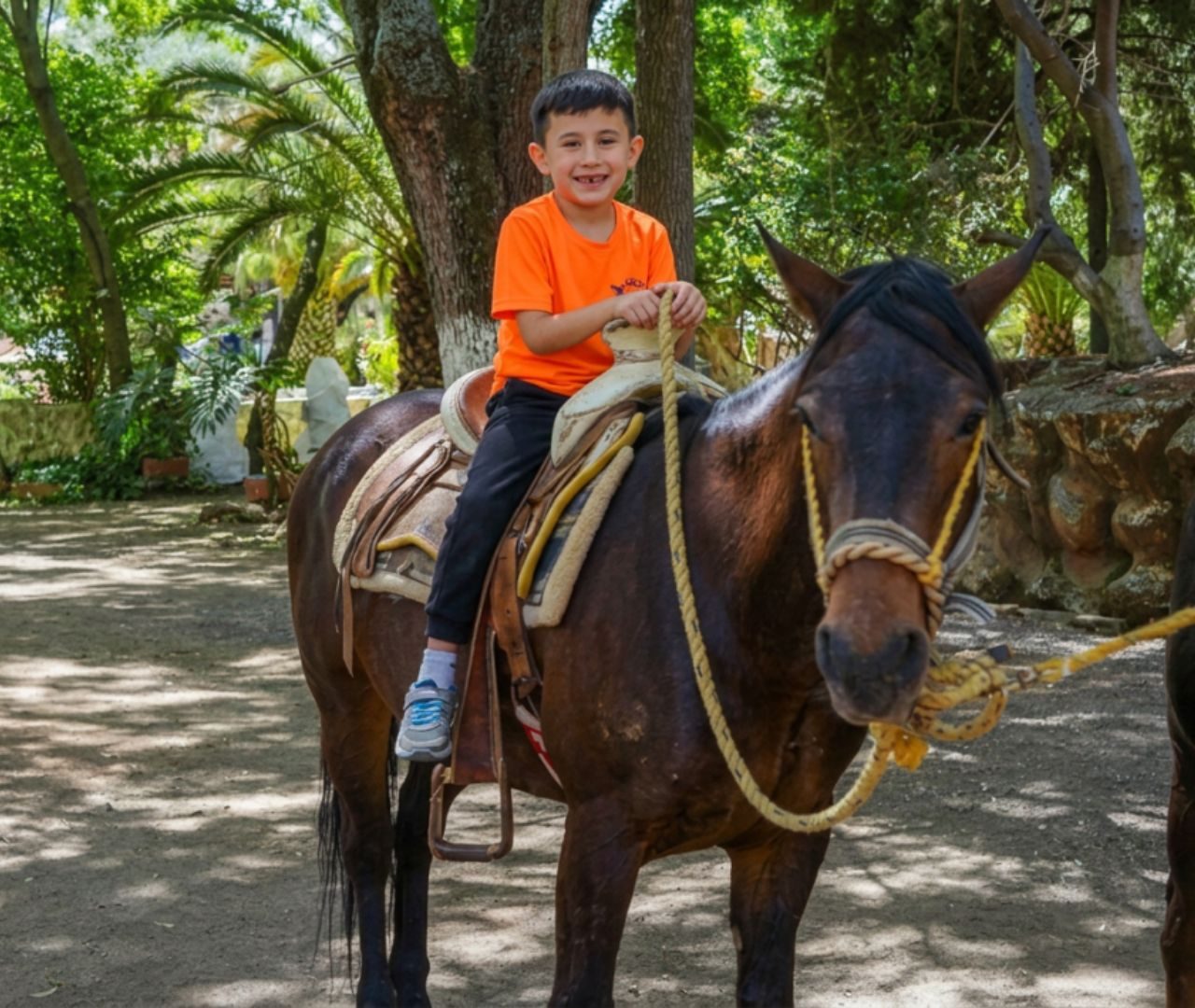 Paseo a caballo por el complejo