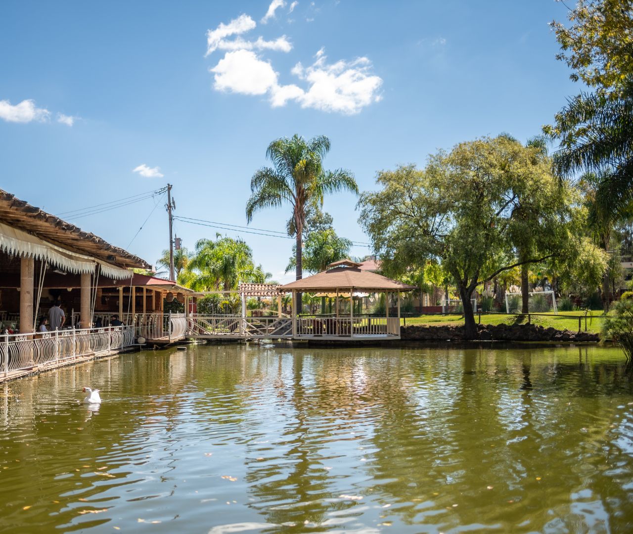 Lago y kiosco del restaurante Hacienda Coyotes