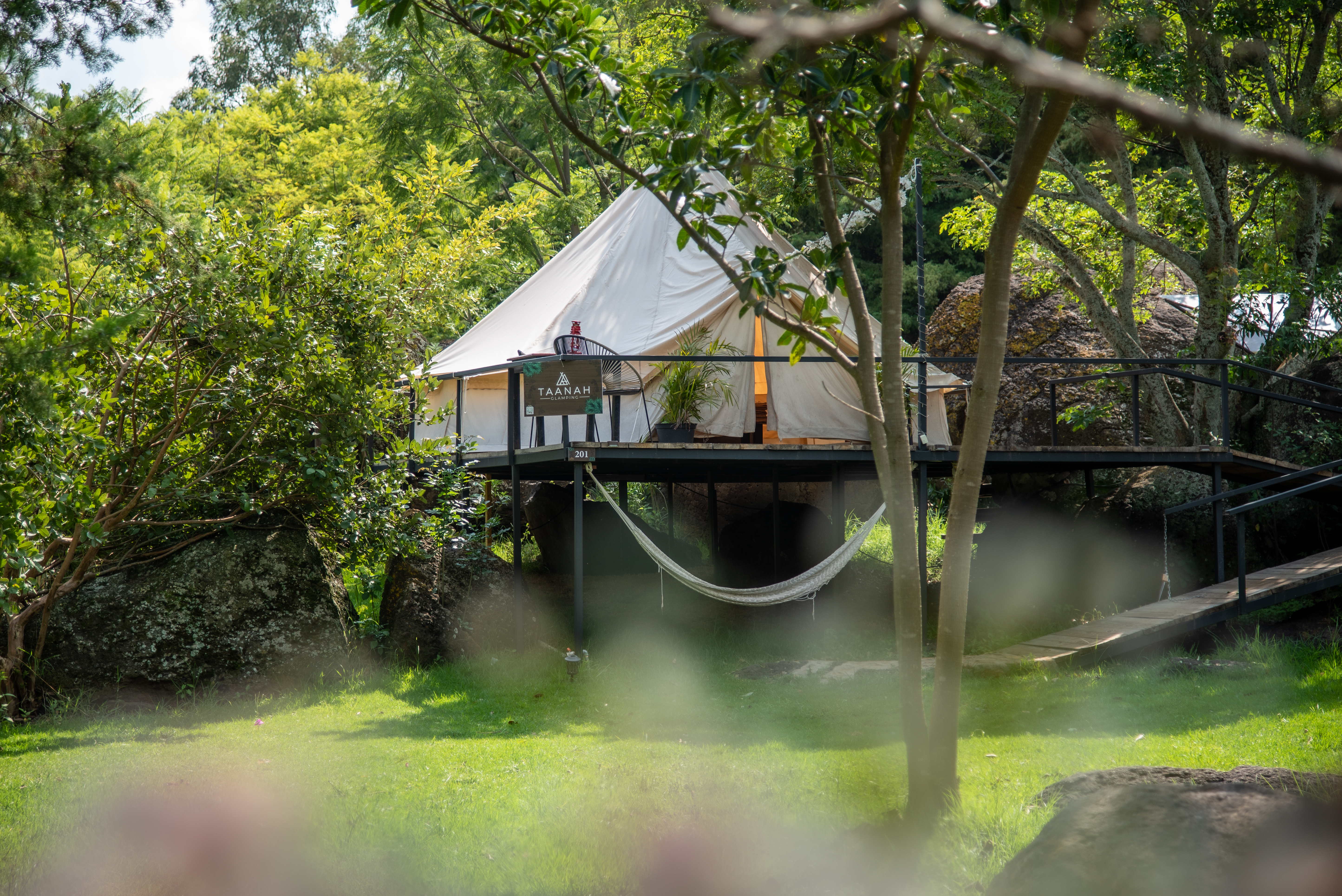 Tienda de glamping en el bosque